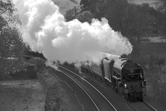 UK13 53DM_Canon6D_EF70-300L@200mm