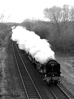 QL16 56DM_500CM_P21_Planar80