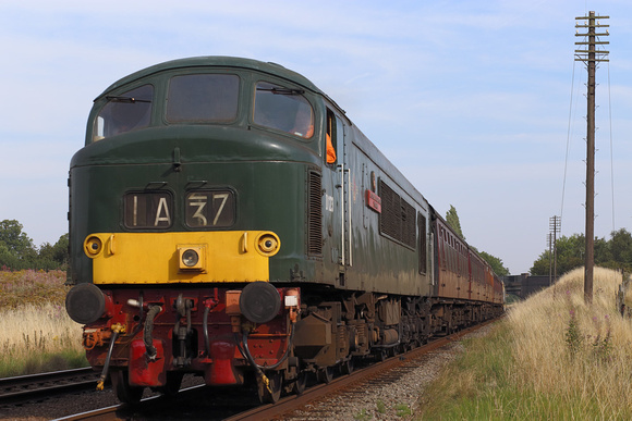 OH23 11DC_6D_EF85