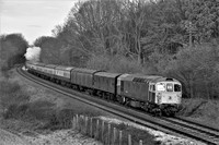 VL17 52DM_NikonDf_AF-SNikkor28-300G@92mm