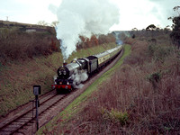 LC17 05CN_GW670_160VC
