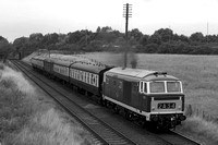 QI10 53DM_6D_EF85