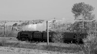 VC26 51DM_Canon6D_EF70-300L@146mm