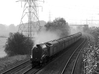 RJ20 51DM_Canon6D_EF70-300L