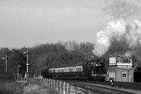 OL31 53DM_6D_EF70-300L