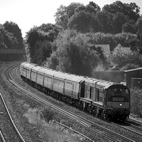 VH12 51DM_NikonDf_AF-SNikkor28-300G@300mm