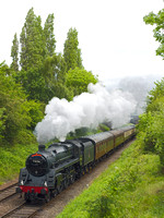 SF15 05DC_500CM_P21_Planar80