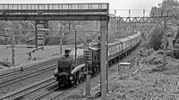 XE11 55DM_NikonDf_AF-SNikkor28-300G@68mm