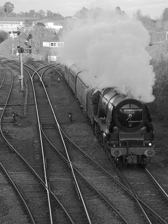 UK20 59DM_Canon6D_EF70-300L@135mm
