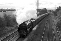 SJ19 52DM_Canon6D_EF85