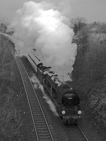 TL17 54DM_NikonDf_AFNikkor50D