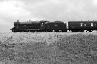 RH28 60DM_NikonDf_Biometar80