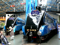 4468 MALLARD