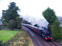 QJ21 11DC_6D_EF50