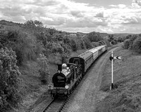 YE25 80DM_NikonDf_AF-NikkorD50mm