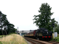 MH25 12D_300D