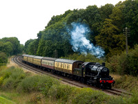 NI14 24D_500CM_P21_Planar120