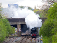 RD29 07DC_6D_EF70-300L