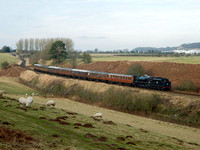 MA05 42D_500CM_P21