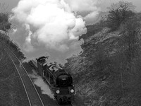 TL17 52DM_NikonDf_AFNikkor50D