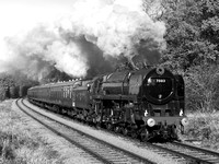 PK13 52DM_2000FC_CFV50c_Planar100
