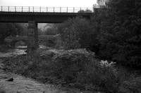 UJ17 51DM_NikonDf_AF-Nikkor50D