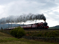 NJ04 21D_500CM_P21_Planar100