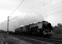 OJ31 52DM_6D_EF50