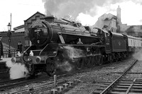 TL12 52DM_NikonDf_AF-Nikkor50D