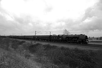 TB15 55DM_NikonDf_AF-SNikkor28-300G