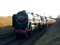 ML29 14D_500CM_P21_Distagon60