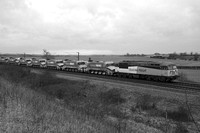 TB15 52DM_NikonDf_AF-SNikkor28-300G