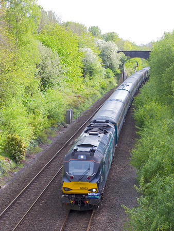 SE04 21DC_Canon6D_EF85