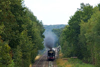 SH18 05DC_NikonDf_AF-SNikkor28-300G