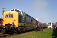 D9016 GORDON HIGHLANDER