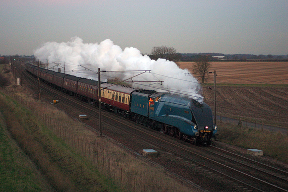 NL13 05D_300D_Planar50