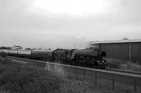 RI22 52DM_NikonDf_Nikkor50D