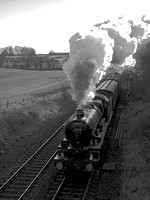 VC05 55DM_NikonDf_AF-Nikkor50D
