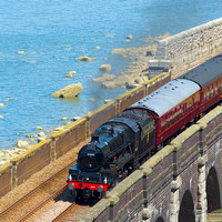 UG18 08DC_NikonDf_AF-SNikkor28-300G@210 mm