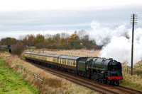 OK15 11DC_6D_Takumar105