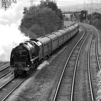 SJ19 51DM_NikonDf_AF-SNikkor28-300G
