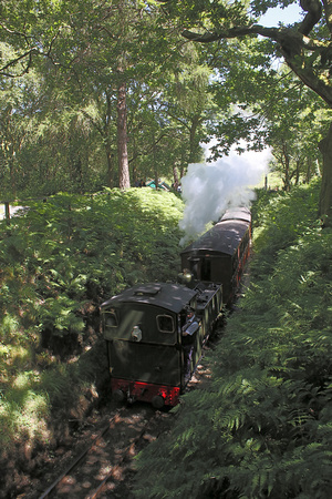 RF22 15DC_Canon6D_EF28-80