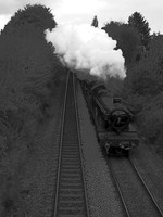 LE05 54DM_FZ50