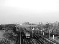 RJ20 58DM_Canon6D_EF70-300L