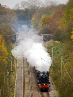 UK20 02DC_Canon6D_EF70-300L@300mm