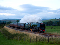 NI06 27D_500CM_P21_Planar80