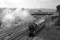 SI07 54DM_NikonDf_AF-SNikkor28-300G
