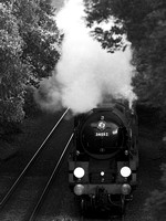 RF16 53DM_NikonDf_Sonnar300