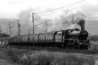 OJ17 51DM_300D_Takumar105