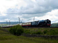 NG05 23D_500CM_P21_Planar100